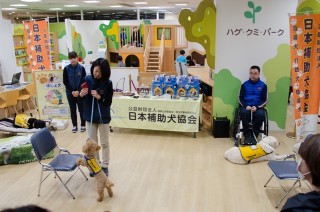 聴導犬のデモンストレーションの様子です。