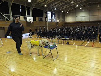 学校教育における取り組み